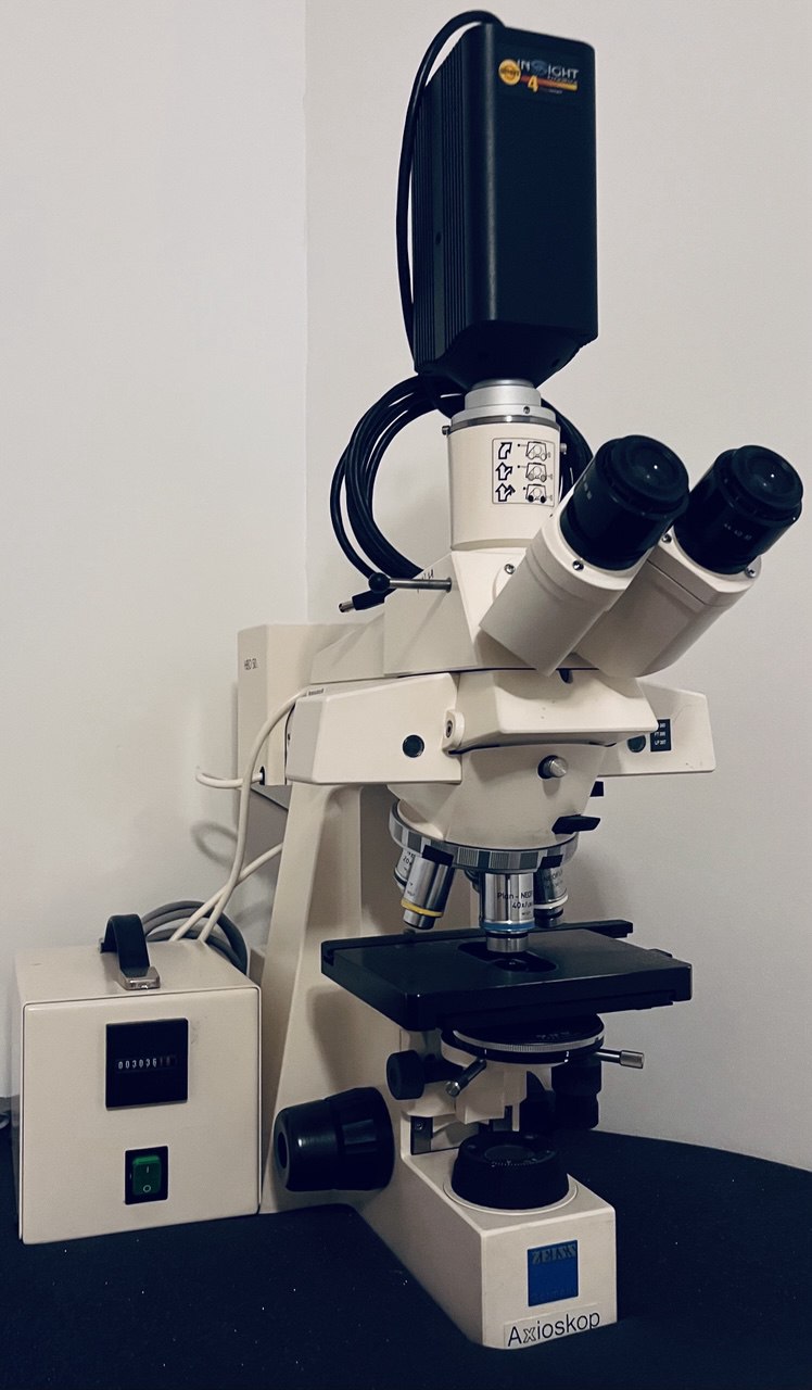 Zeiss Axioskop